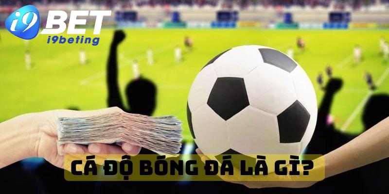 Cá độ bóng đá là gì?